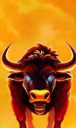 Big Wild Buffalo 2